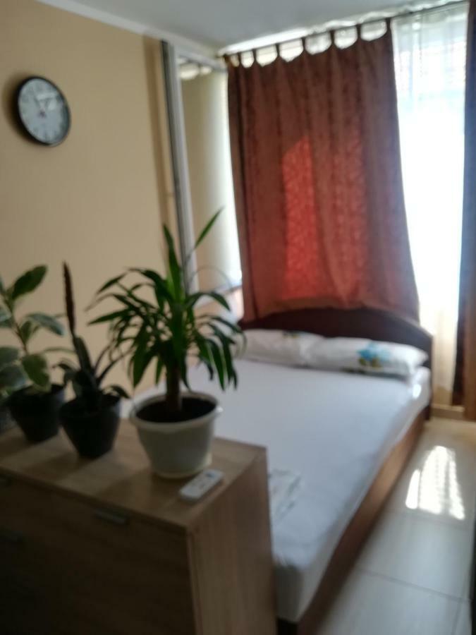 Apartments Vis Jaz Budva Bagian luar foto
